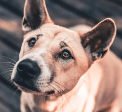 Leo Anders profile photo