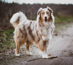 Jonas Richter profile photo