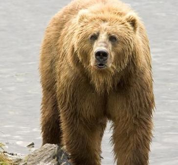 Alex Martinez avatar