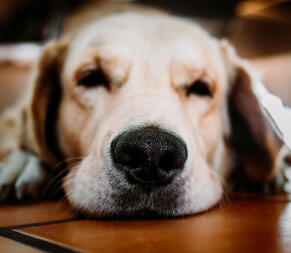 Alex Martinez avatar