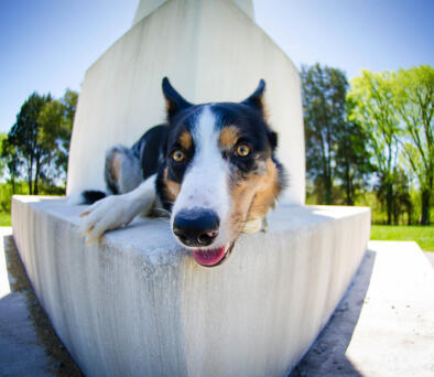 Jonas Richter profile photo