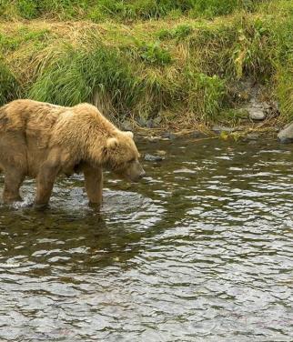 Leo Anders profile photo