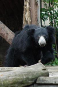 Jonas Richter profile photo