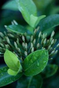 Leo Anders profile photo