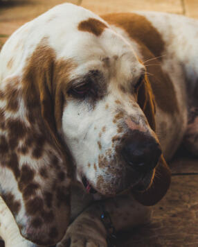 Alex Martinez avatar