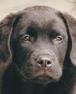 Leo Anders profile photo