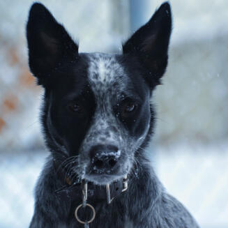 Jonas Richter profile photo