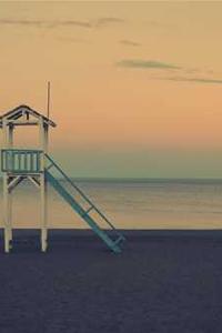 Maya Chen profile photo