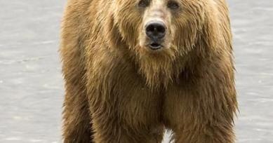 Maya Chen profile photo