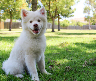 Maya Chen profile photo