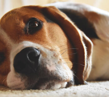 Alex Martinez avatar