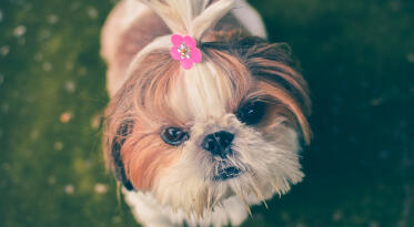 Jonas Richter profile photo