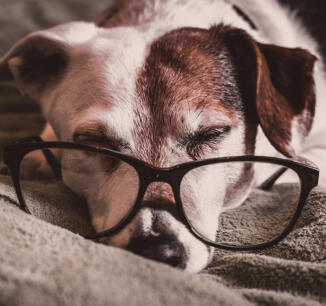 Alex Martinez avatar