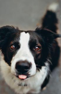 Leo Anders profile photo