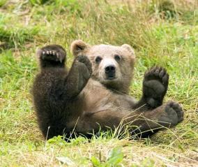 Jonas Richter profile photo