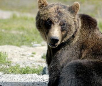 Leo Anders profile photo