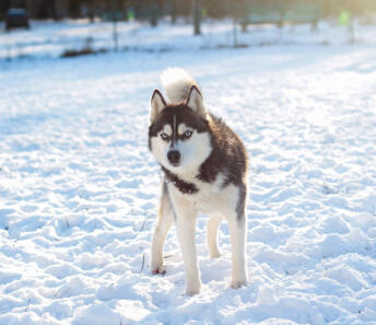 Alex Martinez avatar