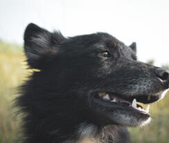 Jonas Richter profile photo