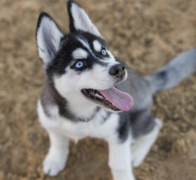 Maya Chen profile photo