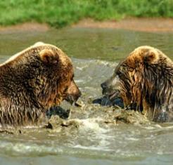 Leo Anders profile photo