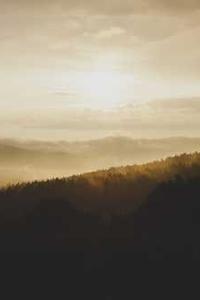 Maya Chen profile photo