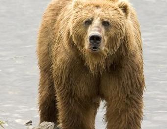 Leo Anders profile photo