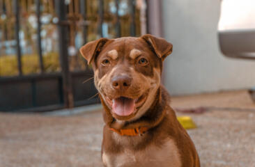 Alex Martinez avatar