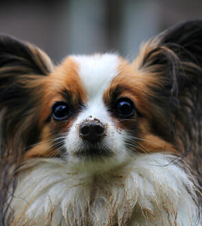 Alex Martinez avatar