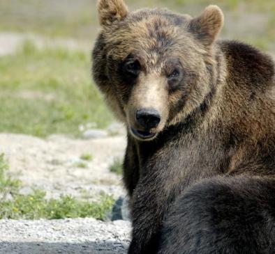 Maya Chen profile photo