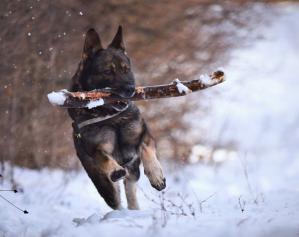 Maya Chen profile photo