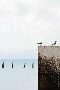 Leo Anders profile photo