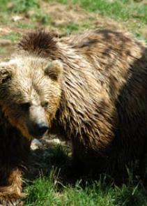 Jonas Richter profile photo