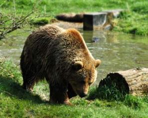 Leo Anders profile photo