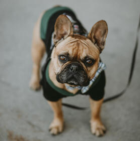 Leo Anders profile photo