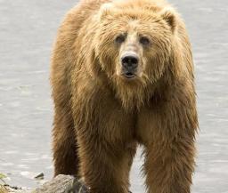 Leo Anders profile photo