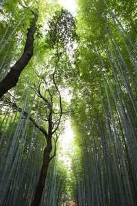 Leo Anders profile photo