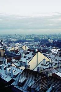 Maya Chen profile photo