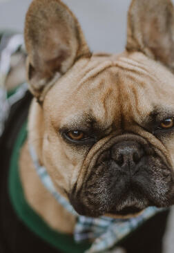 Jonas Richter profile photo