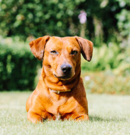 Leo Anders profile photo