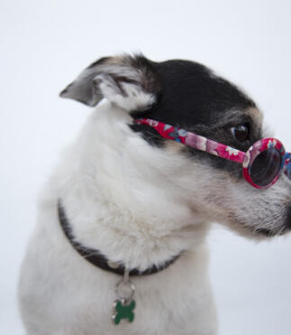 Alex Martinez avatar