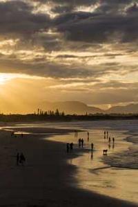 Maya Chen profile photo