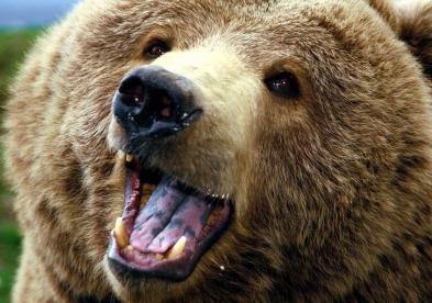 Jonas Richter profile photo