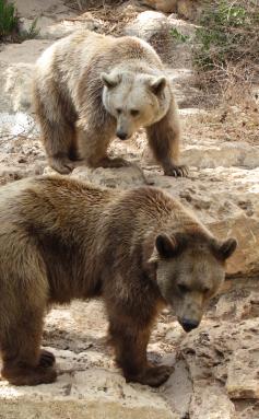 Alex Martinez avatar