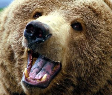 Leo Anders profile photo