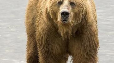 Maya Chen profile photo