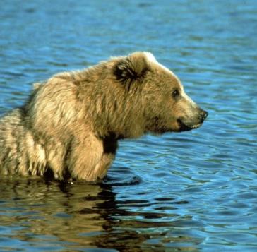 Maya Chen profile photo