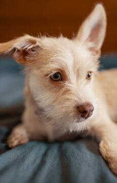 Leo Anders profile photo