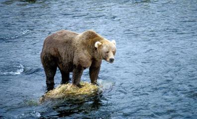 Alex Martinez avatar