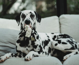 Jonas Richter profile photo