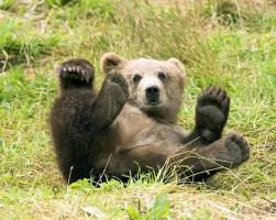 Maya Chen profile photo